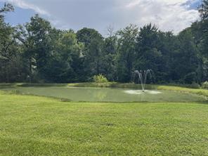 109 Private Road 916 - Photo 35