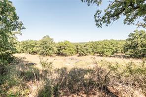 375 Nocona Drive - Photo 6