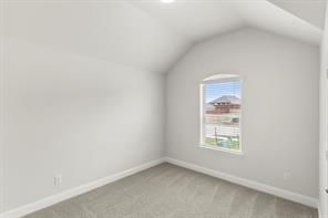121 Whistling Duck Drive - Photo 17