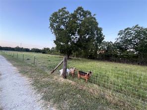 12613 State Highway 36 E - Photo 38