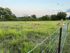 12613 State Highway 36 E - Photo 39