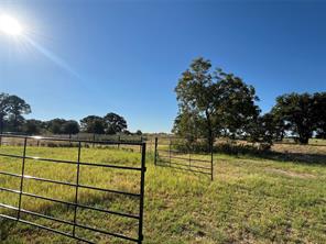 12613 State Highway 36 E - Photo 40