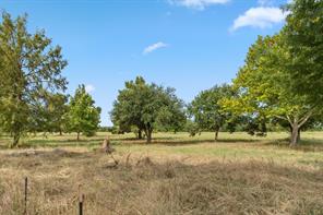 3016 County Road 4405 - Photo 3