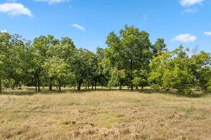 3016 County Road 4405 - Photo 4