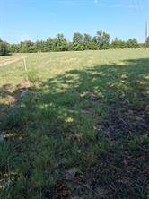 2020 Farm Road 909 - Photo 4