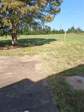 2020 Farm Road 909 - Photo 5