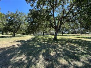 1001 Highway 36 - Photo 4