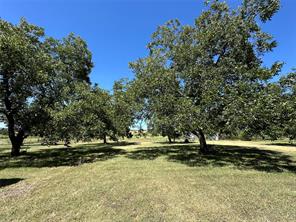 1001 Highway 36 - Photo 9