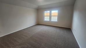 501 White Willow Drive - Photo 10