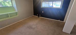 8295 Palo Pinto Highway - Photo 11