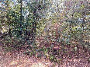 1328 Azalea Drive - Photo 24