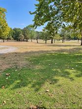1451 County Road 107 - Photo 8