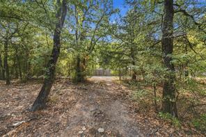 167 Tall Timber Trail - Photo 27