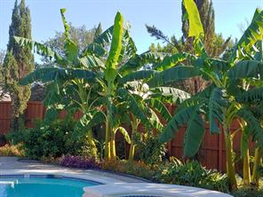 5000 Adolphus Drive - Photo 28