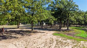 6850 Deer Trail - Photo 38