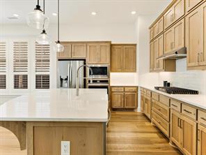 1806 Swayback Lane - Photo 9