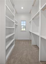104 Prairie Winds Drive - Photo 32