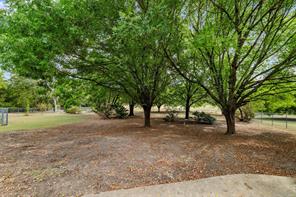 5030 Diamond Creek Drive - Photo 10