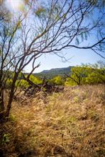 2024 Jesses Run Road - Photo 15