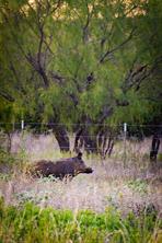 2024 Jesses Run Road - Photo 24