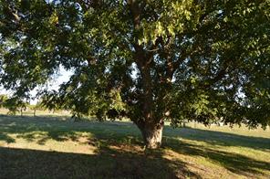 3345 County Road 1125 - Photo 24