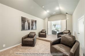 817 Blue Fescue Road - Photo 35