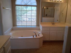 3005 Birch Leaf Place - Photo 14