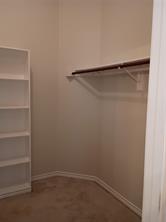 3005 Birch Leaf Place - Photo 15