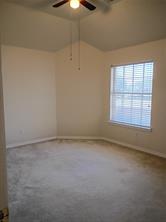 3005 Birch Leaf Place - Photo 19