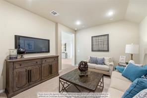 13136 Sandstone Street - Photo 34