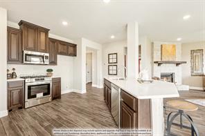 829 Rain Lilly Street - Photo 9