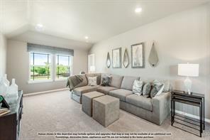 3201 Emerald Trace Drive - Photo 28