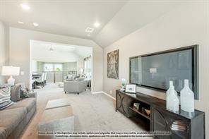 3201 Emerald Trace Drive - Photo 29
